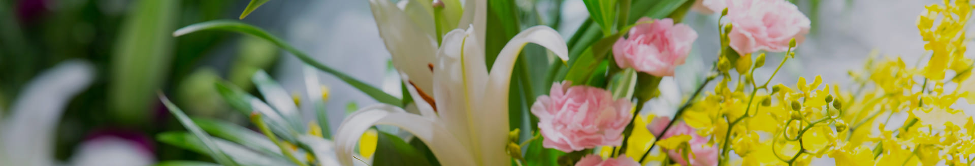 イメージ写真