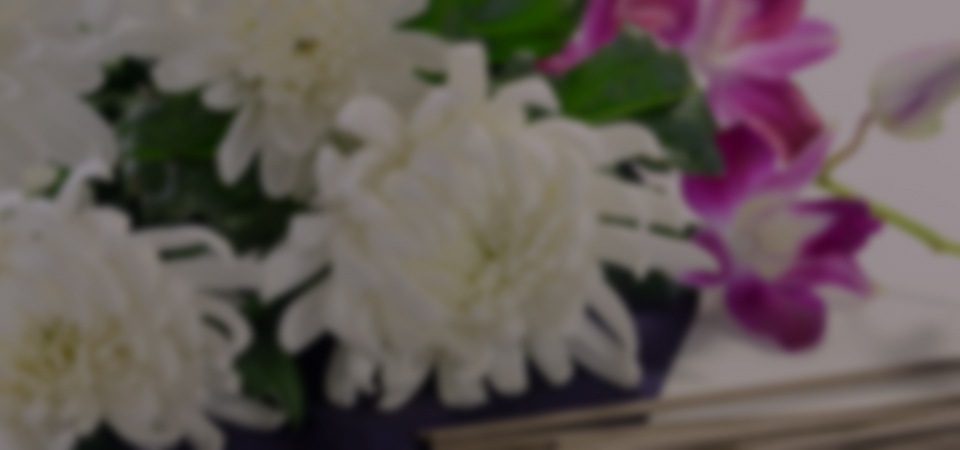 イメージ写真